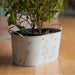 Jardin Oblong Bucket