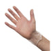 Disposable Gloves - Pack of 2