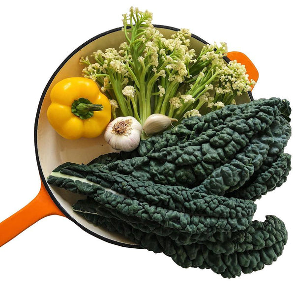 28cm Cast Iron Fry Pan - Orange