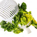 Salad Cutter Bowl