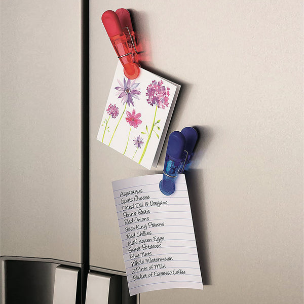 Magnetic Bag Clips